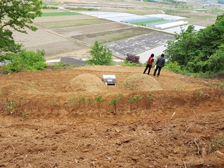 반석장묘개발 PC 이미지 1241299