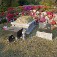 반석장묘개발 PC 갤러리 10