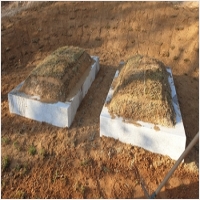 반석장묘개발 PC 갤러리 4