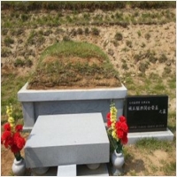 반석장묘개발 PC 갤러리 17