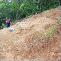 반석장묘개발 PC 갤러리 12