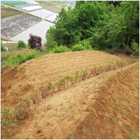 반석장묘개발 PC 갤러리 11