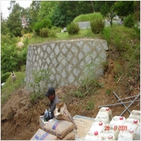 반석장묘개발 PC 갤러리 13