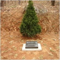 반석장묘개발 PC 갤러리 19