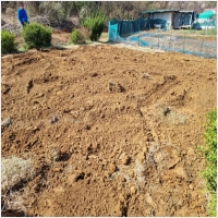 묘지공사-2499730