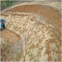 묘지공사-2499741